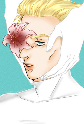 iris iris
